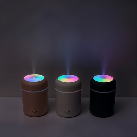 H2O Bliss Portable Humidifier
