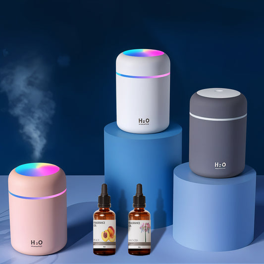 H2O Bliss Portable Humidifier